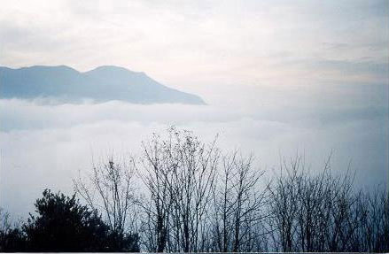 Descrizione: Nebbia.jpg (27940 byte)